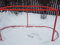 Hokeja vārti
